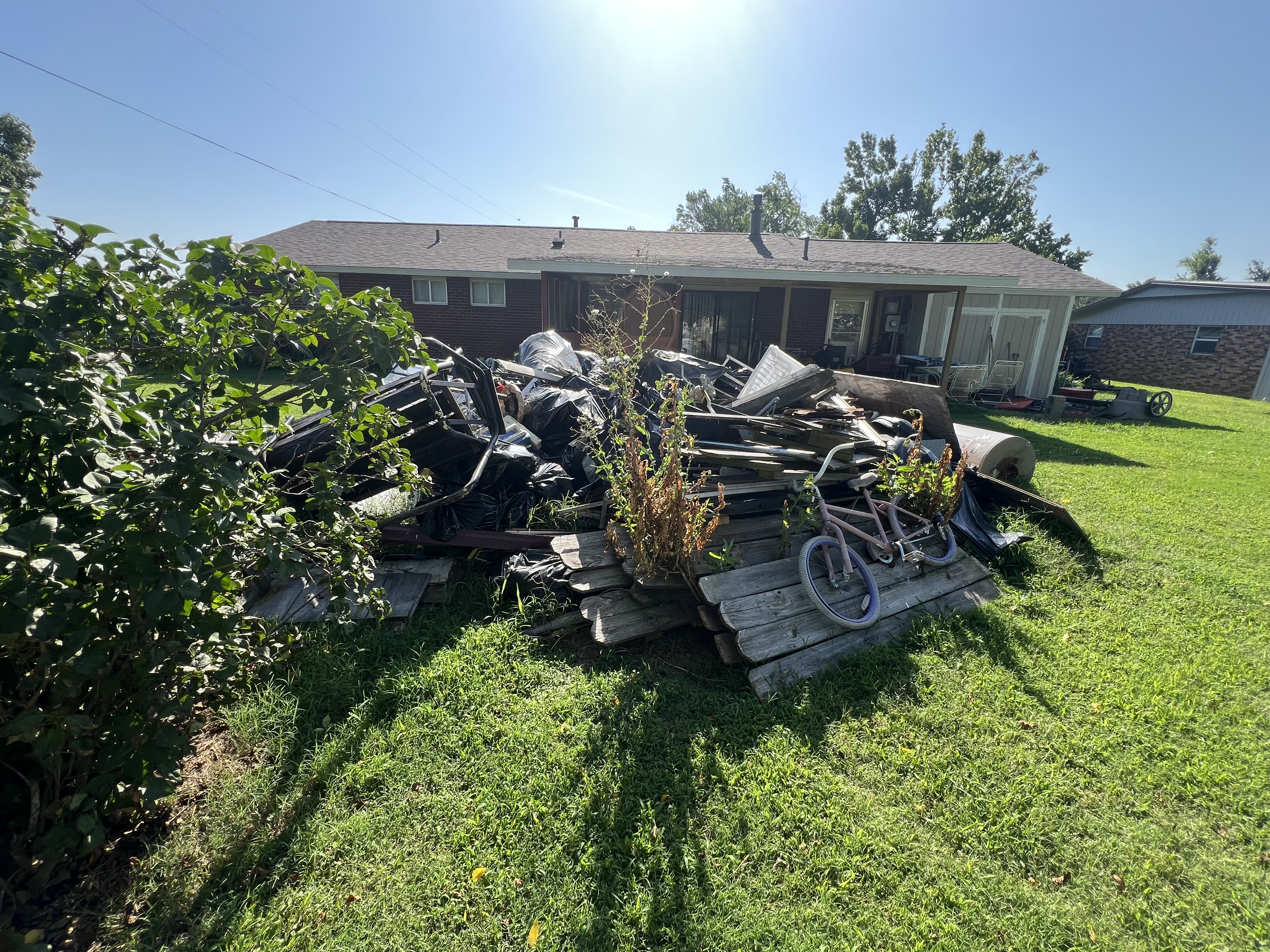 Backyard with Tree Debris